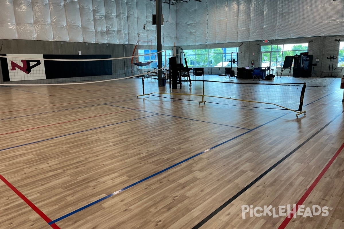 Photo of Pickleball at Net Panic Pickleball